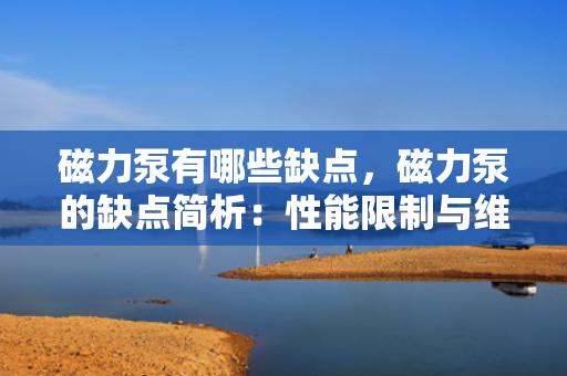 磁力泵有哪些缺点，磁力泵的缺点简析：性能限制与维护挑战