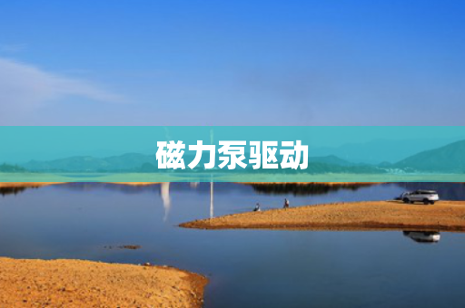 磁力泵驱动