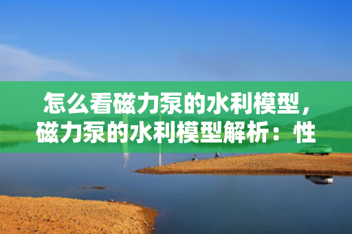 怎么看磁力泵的水利模型，磁力泵的水利模型解析：性能、效率与选型关键