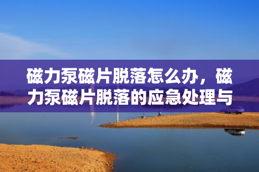 磁力泵磁片脱落怎么办，磁力泵磁片脱落的应急处理与解决方案