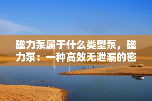 磁力泵属于什么类型泵，磁力泵：一种高效无泄漏的密封式泵类