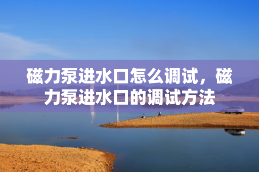 磁力泵进水口怎么调试，磁力泵进水口的调试方法