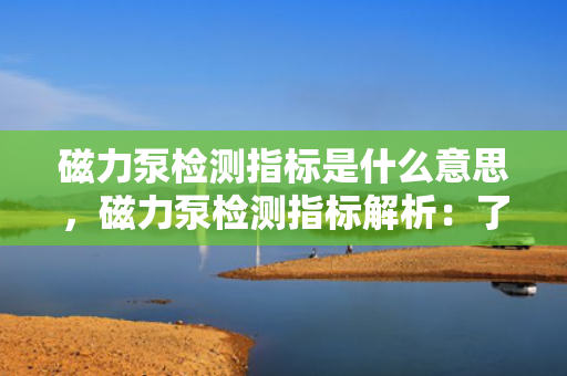 磁力泵检测指标是什么意思，磁力泵检测指标解析：了解评估磁力泵性能的关键参数