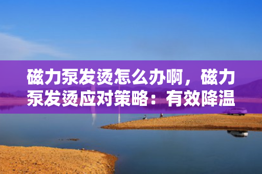 磁力泵发烫怎么办啊，磁力泵发烫应对策略：有效降温及故障排查方法