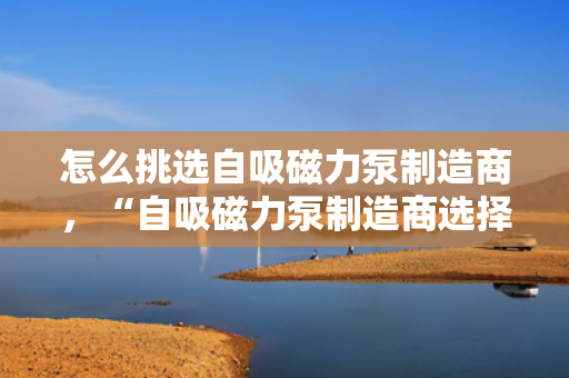 怎么挑选自吸磁力泵制造商，“自吸磁力泵制造商选择指南：关键要素与实用技巧”