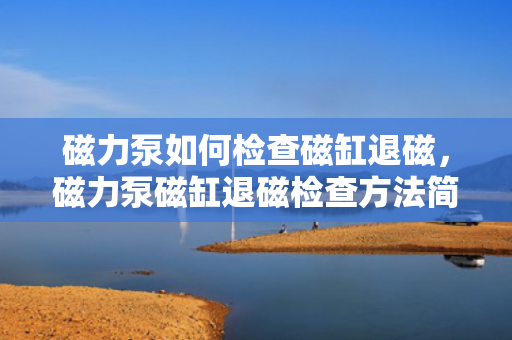 磁力泵如何检查磁缸退磁，磁力泵磁缸退磁检查方法简述