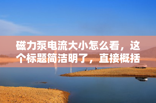磁力泵电流大小怎么看，这个标题简洁明了，直接概括了您想要表达的内容，希望符合您的要求。