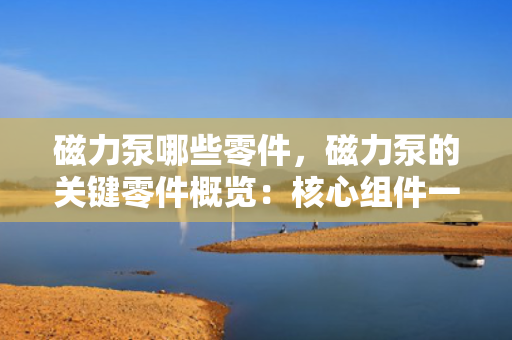 磁力泵哪些零件，磁力泵的关键零件概览：核心组件一览无余