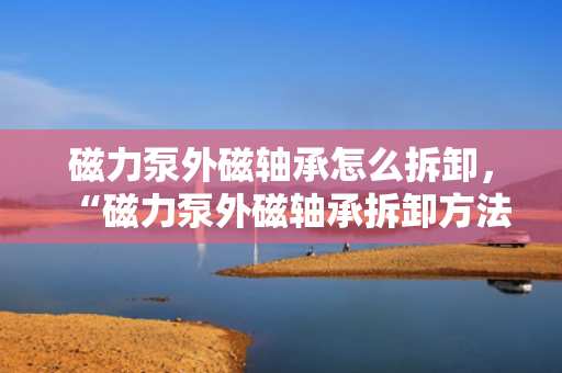 磁力泵外磁轴承怎么拆卸，“磁力泵外磁轴承拆卸方法指南”