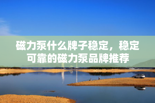 磁力泵什么牌子稳定，稳定可靠的磁力泵品牌推荐