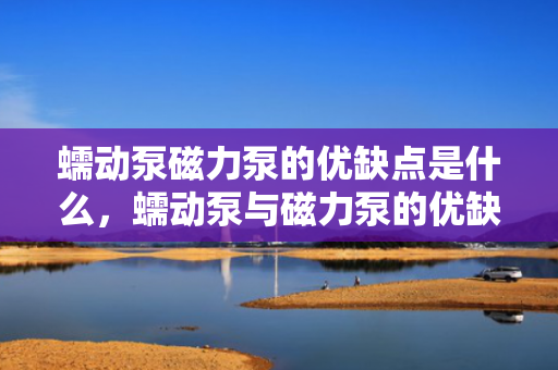 蠕动泵磁力泵的优缺点是什么，蠕动泵与磁力泵的优缺点分析