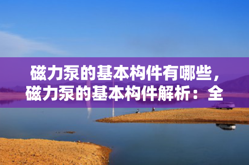 磁力泵的基本构件有哪些，磁力泵的基本构件解析：全面了解其核心组件