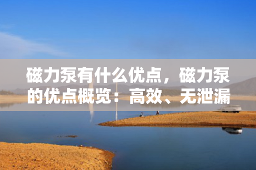 磁力泵有什么优点，磁力泵的优点概览：高效、无泄漏、安全可靠的流体传输解决方案