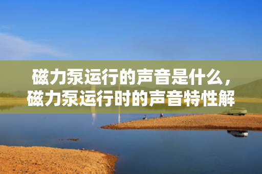 磁力泵运行的声音是什么，磁力泵运行时的声音特性解析