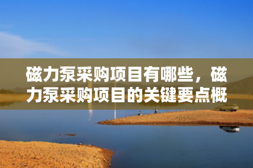 磁力泵采购项目有哪些，磁力泵采购项目的关键要点概览