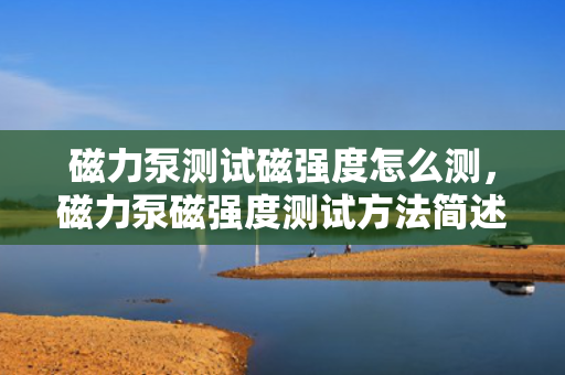 磁力泵测试磁强度怎么测，磁力泵磁强度测试方法简述