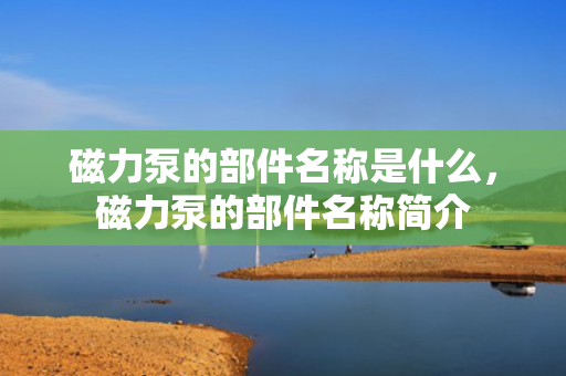 磁力泵的部件名称是什么，磁力泵的部件名称简介
