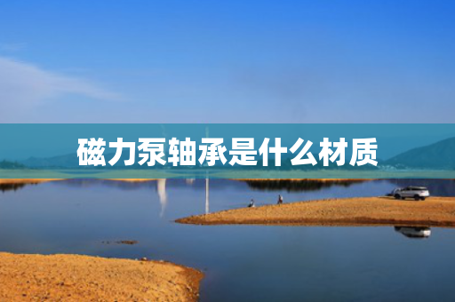 磁力泵轴承是什么材质