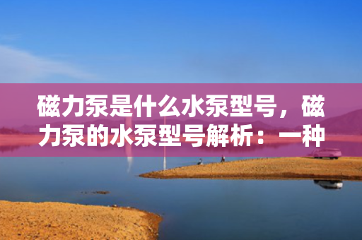 磁力泵是什么水泵型号，磁力泵的水泵型号解析：一种独特的无泄漏密封水泵
