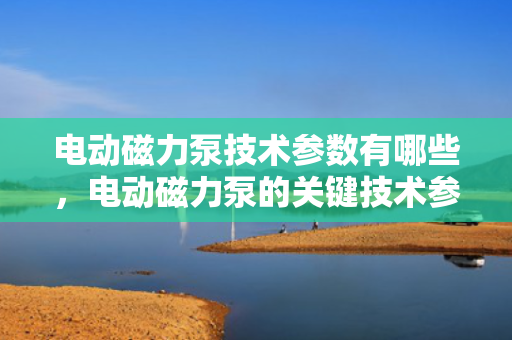 电动磁力泵技术参数有哪些，电动磁力泵的关键技术参数概览