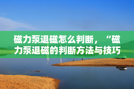 磁力泵退磁怎么判断，“磁力泵退磁的判断方法与技巧”