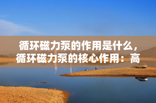 循环磁力泵的作用是什么，循环磁力泵的核心作用：高效无泄漏的流体传输解决方案