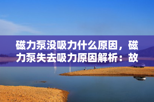 磁力泵没吸力什么原因，磁力泵失去吸力原因解析：故障排查与解决方案