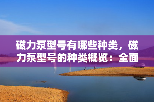 磁力泵型号有哪些种类，磁力泵型号的种类概览：全面解析各类磁力泵型号