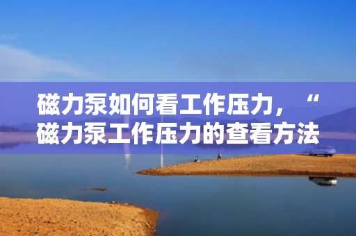 磁力泵如何看工作压力，“磁力泵工作压力的查看方法与步骤”