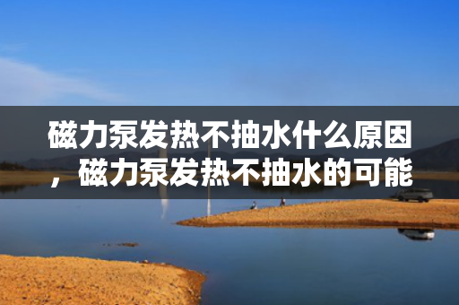 磁力泵发热不抽水什么原因，磁力泵发热不抽水的可能原因及解决方案