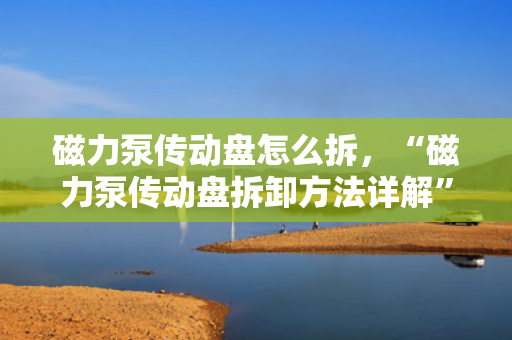 磁力泵传动盘怎么拆，“磁力泵传动盘拆卸方法详解”