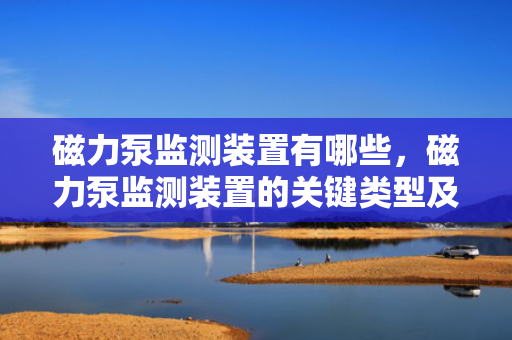磁力泵监测装置有哪些，磁力泵监测装置的关键类型及其应用概述
