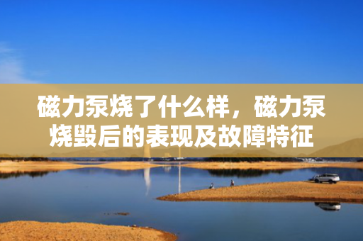 磁力泵烧了什么样，磁力泵烧毁后的表现及故障特征