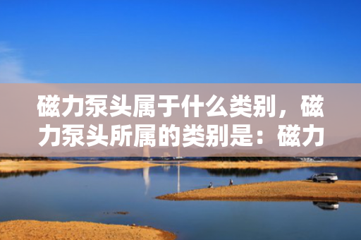 磁力泵头属于什么类别，磁力泵头所属的类别是：磁力驱动泵的关键部件或磁力泵组件