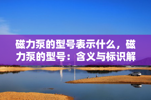 磁力泵的型号表示什么，磁力泵的型号：含义与标识解析