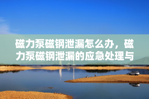 磁力泵磁钢泄漏怎么办，磁力泵磁钢泄漏的应急处理与解决方案