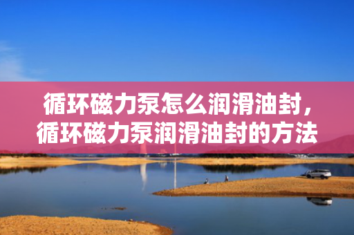 循环磁力泵怎么润滑油封，循环磁力泵润滑油封的方法与技巧