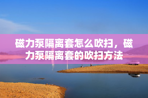 磁力泵隔离套怎么吹扫，磁力泵隔离套的吹扫方法