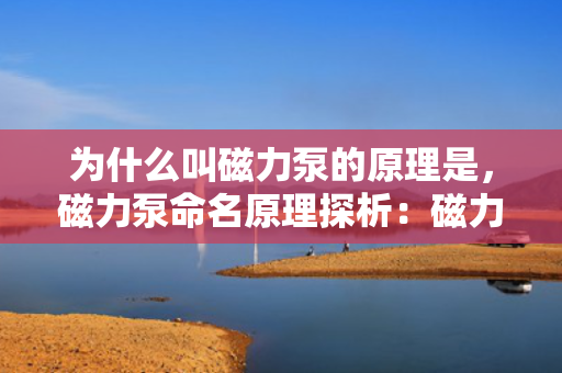 为什么叫磁力泵的原理是，磁力泵命名原理探析：磁力驱动技术的核心应用