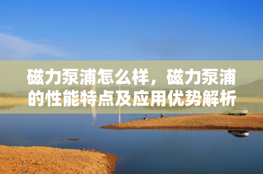 磁力泵浦怎么样，磁力泵浦的性能特点及应用优势解析