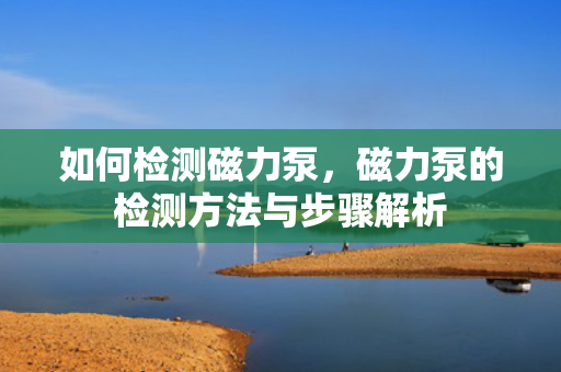 如何检测磁力泵，磁力泵的检测方法与步骤解析