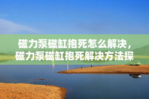 磁力泵磁缸抱死怎么解决，磁力泵磁缸抱死解决方法探讨