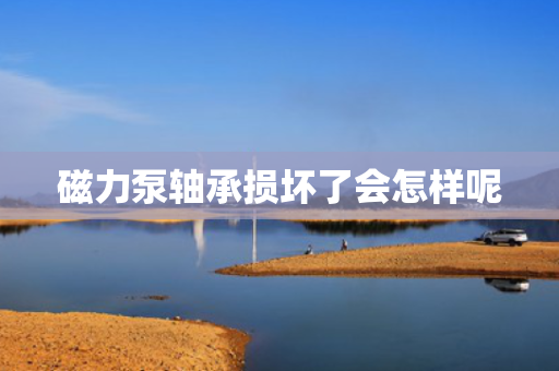 磁力泵轴承损坏了会怎样呢