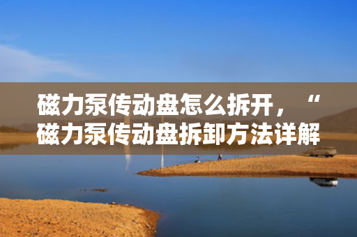 磁力泵传动盘怎么拆开，“磁力泵传动盘拆卸方法详解”