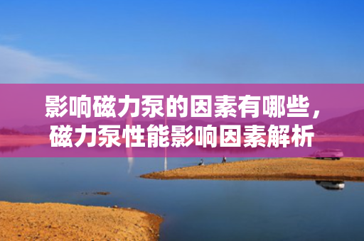 影响磁力泵的因素有哪些，磁力泵性能影响因素解析