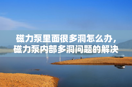 磁力泵里面很多洞怎么办，磁力泵内部多洞问题的解决方案