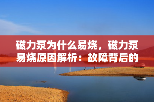磁力泵为什么易烧，磁力泵易烧原因解析：故障背后的关键因素探讨