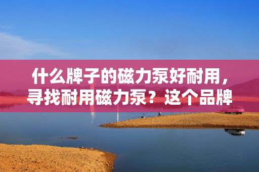 什么牌子的磁力泵好耐用，寻找耐用磁力泵？这个品牌或许是你的首选！