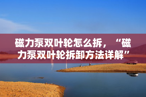 磁力泵双叶轮怎么拆，“磁力泵双叶轮拆卸方法详解”
