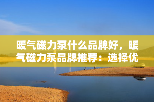 暖气磁力泵什么品牌好，暖气磁力泵品牌推荐：选择优质供暖设备的首选指南